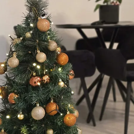 Apartmán Rivernest Kaunas